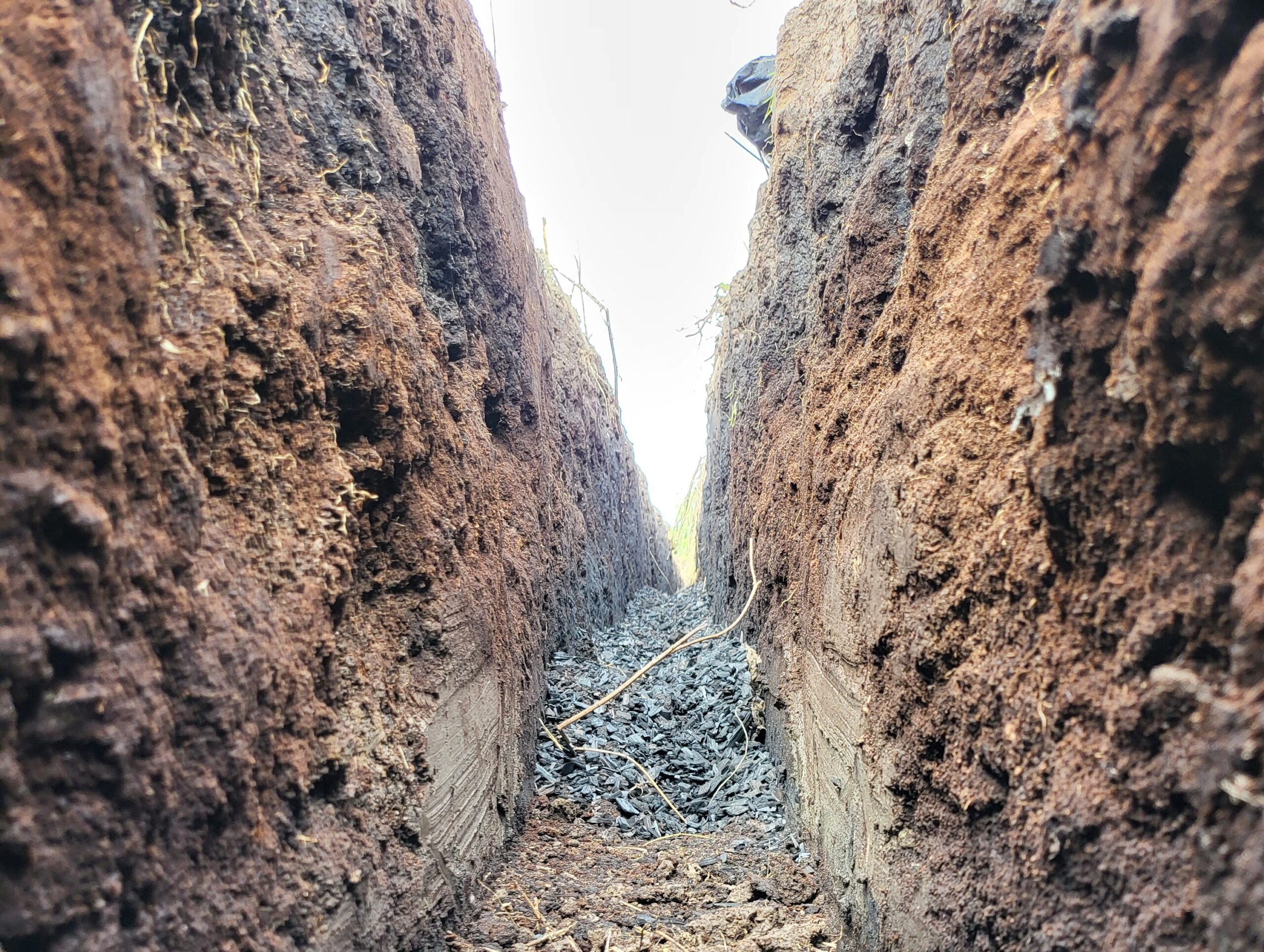 Defra-backed trial explores water management solution for peat soils