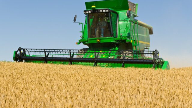Global wheat production levels coming under pressure
