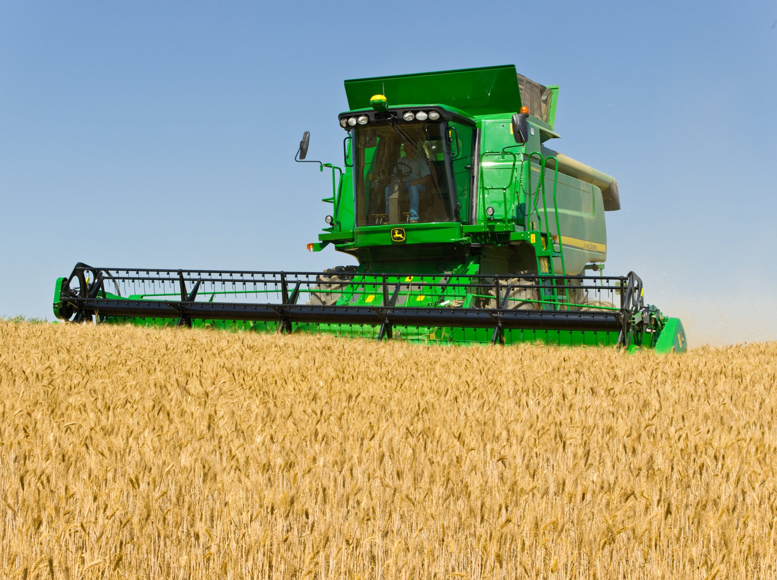 Global wheat production levels coming under pressure