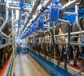 Promoting efficiency and hygiene in the parlour