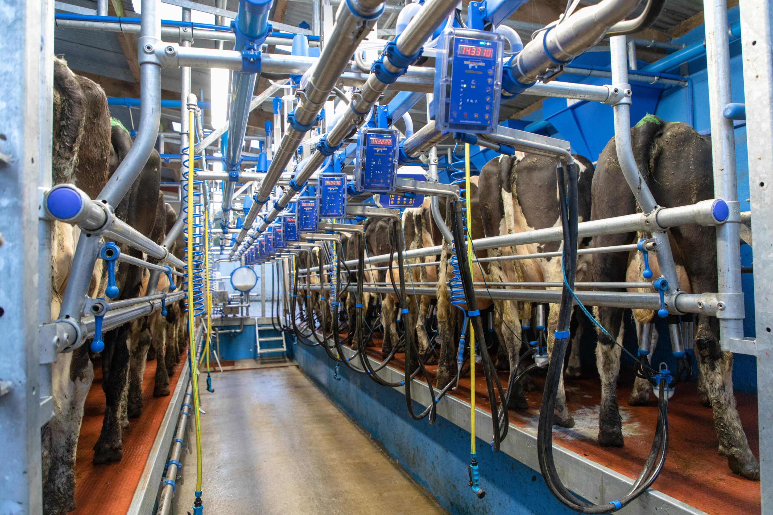 Promoting efficiency and hygiene in the parlour