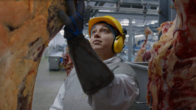 Report: Women make up 35% of food manufacturing workforce in Ireland and UK