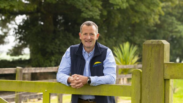 Dawn Meats acquires German meat importing business