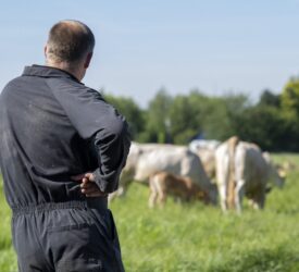 UFU wants NI farmers to have ‘pride in everything they do’