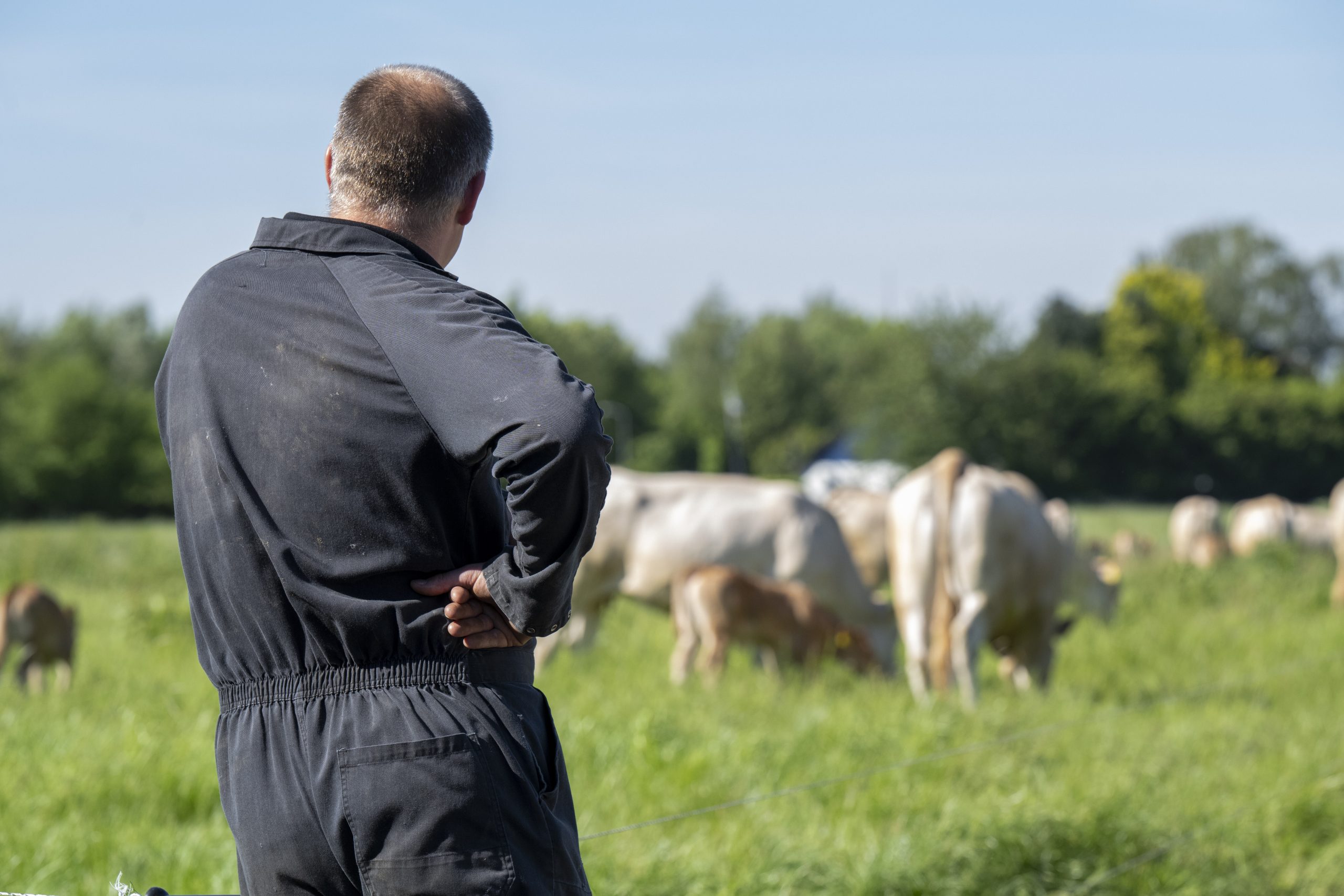 UFU wants NI farmers to have ‘pride in everything they do’