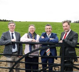 New €5.75m cross-border ‘climate-friendly beef’ project launched