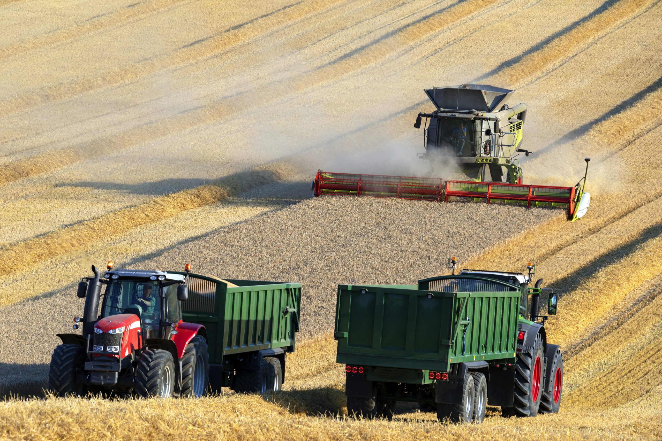 agriland.co.uk - Richard Halleron - Trials show environmental risks of turning grassland into arable