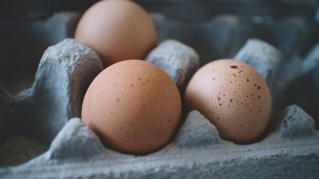 Concerns raised over potential impact of ‘cheap egg imports’ into UK