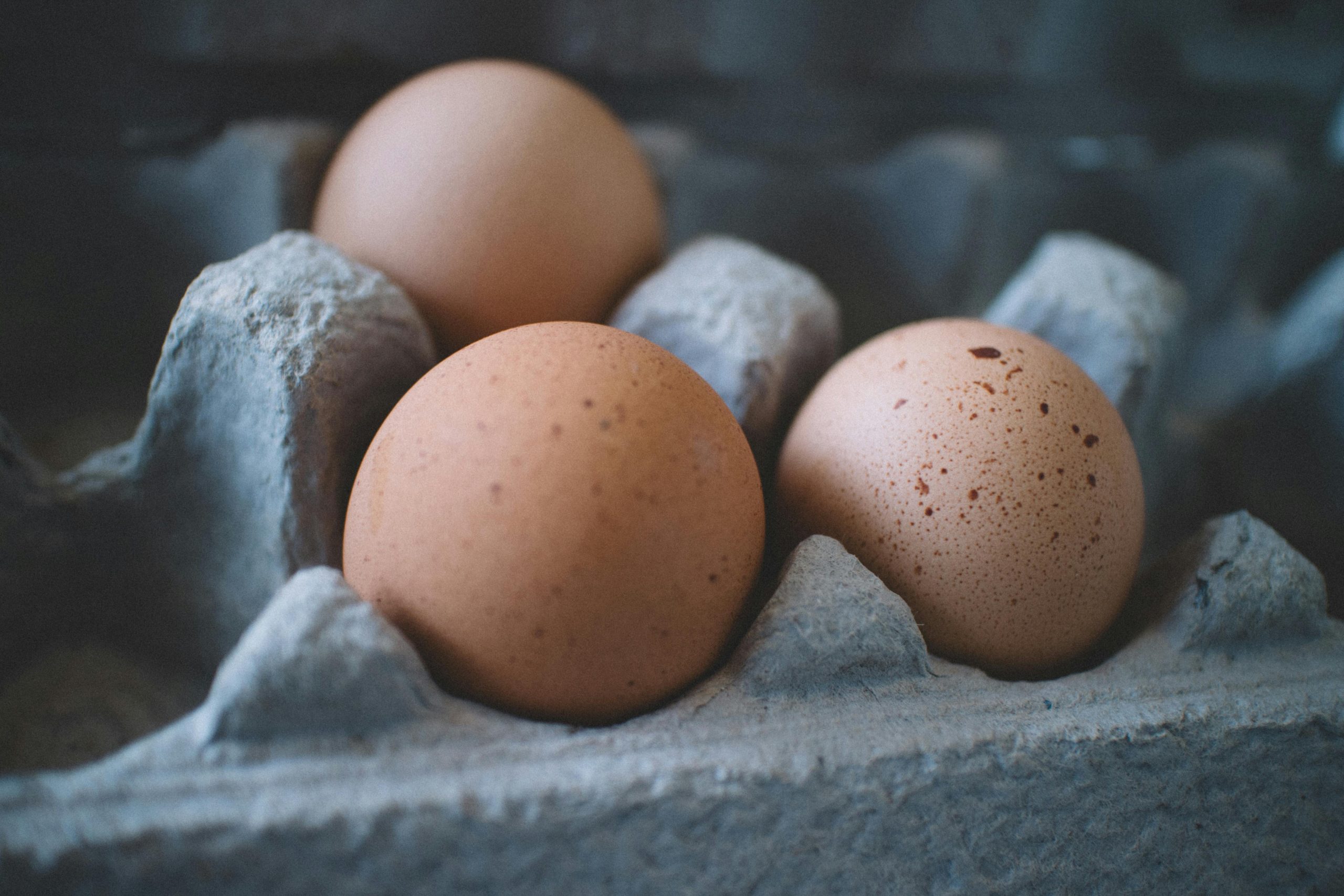 Concerns raised over potential impact of ‘cheap egg imports’ into UK