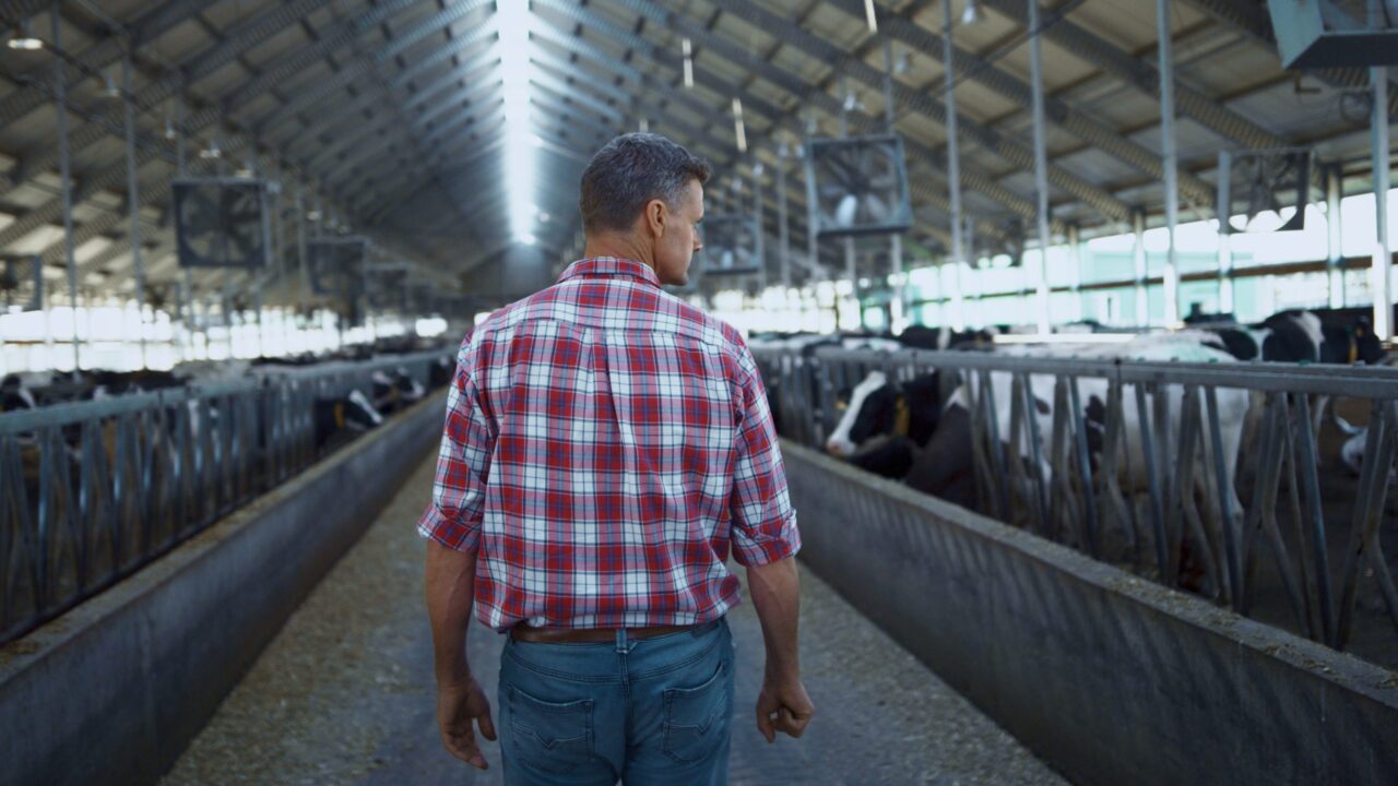 Calling all dairy farmers – chance to win a €100 voucher