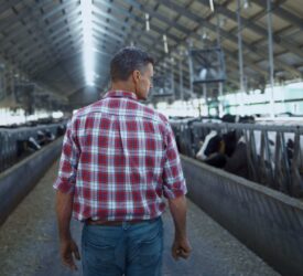 Calling all dairy farmers – chance to win a €100 voucher
