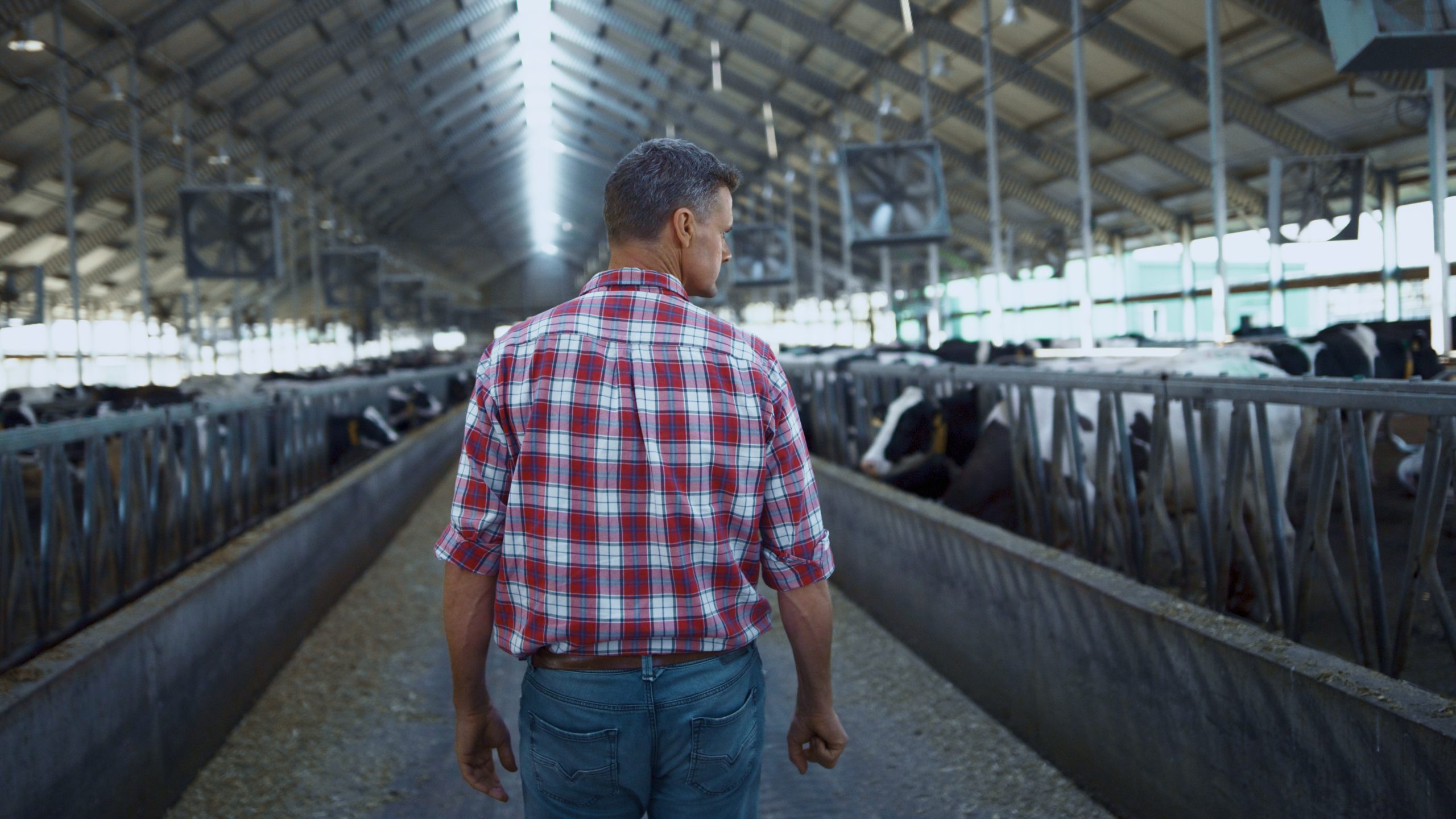 Calling all dairy farmers – chance to win a €100 voucher