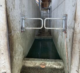 Foot bathing to reduce risk of infectious diseases