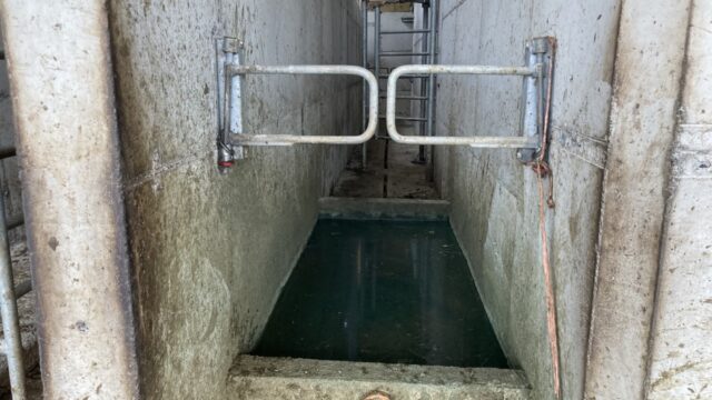 Foot bathing to reduce risk of infectious diseases
