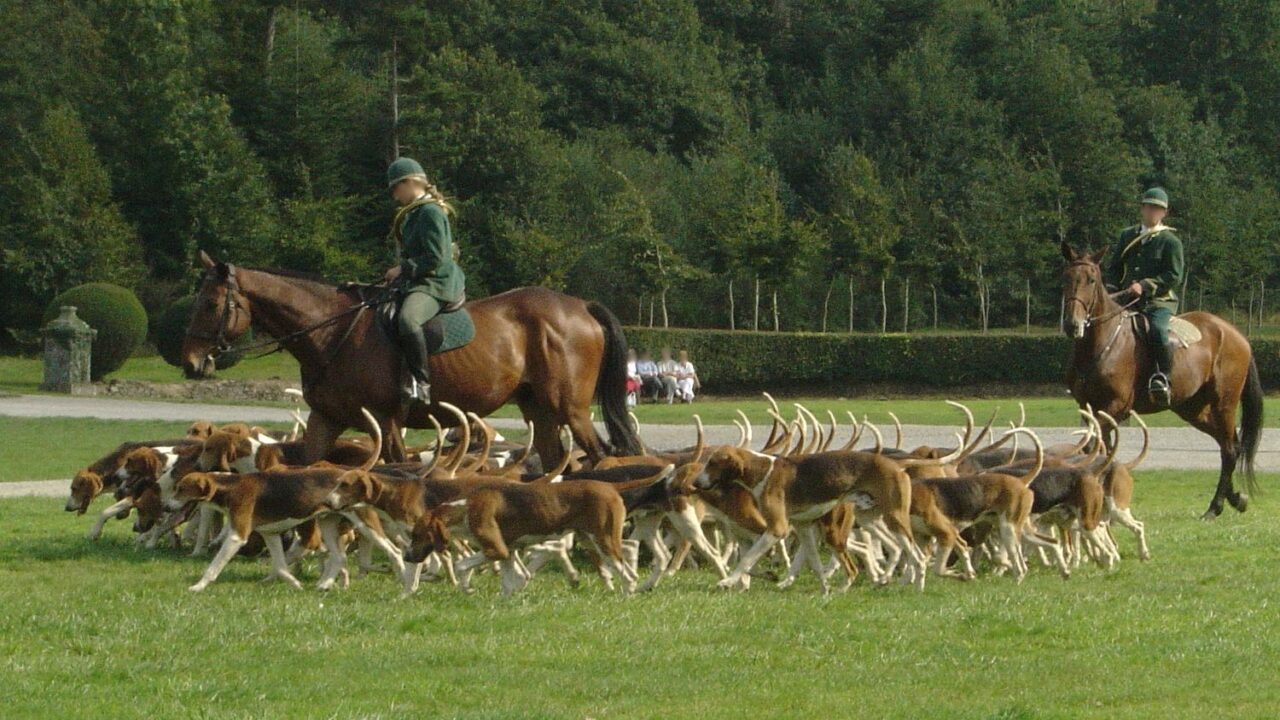 ‘No justification’ to ban hunting with dogs – Countryside Alliance