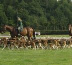 ‘No justification’ to ban hunting with dogs – Countryside Alliance