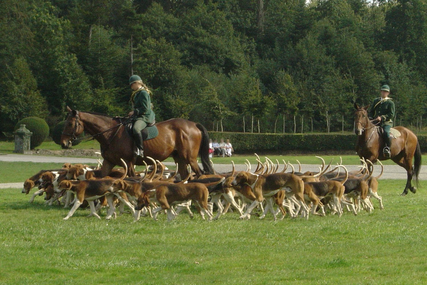 ‘No justification’ to ban hunting with dogs – Countryside Alliance