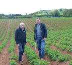 First early potatoes expected to be in NI shops by mid-June