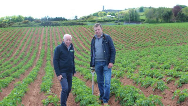 First early potatoes expected to be in NI shops by mid-June