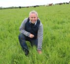 Organic beef and sheep production is ‘wholly sustainable’ – farmer