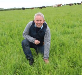 Organic beef and sheep production is ‘wholly sustainable’ – farmer
