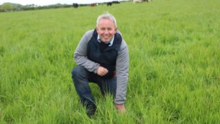 Organic beef and sheep production is ‘wholly sustainable’ – farmer