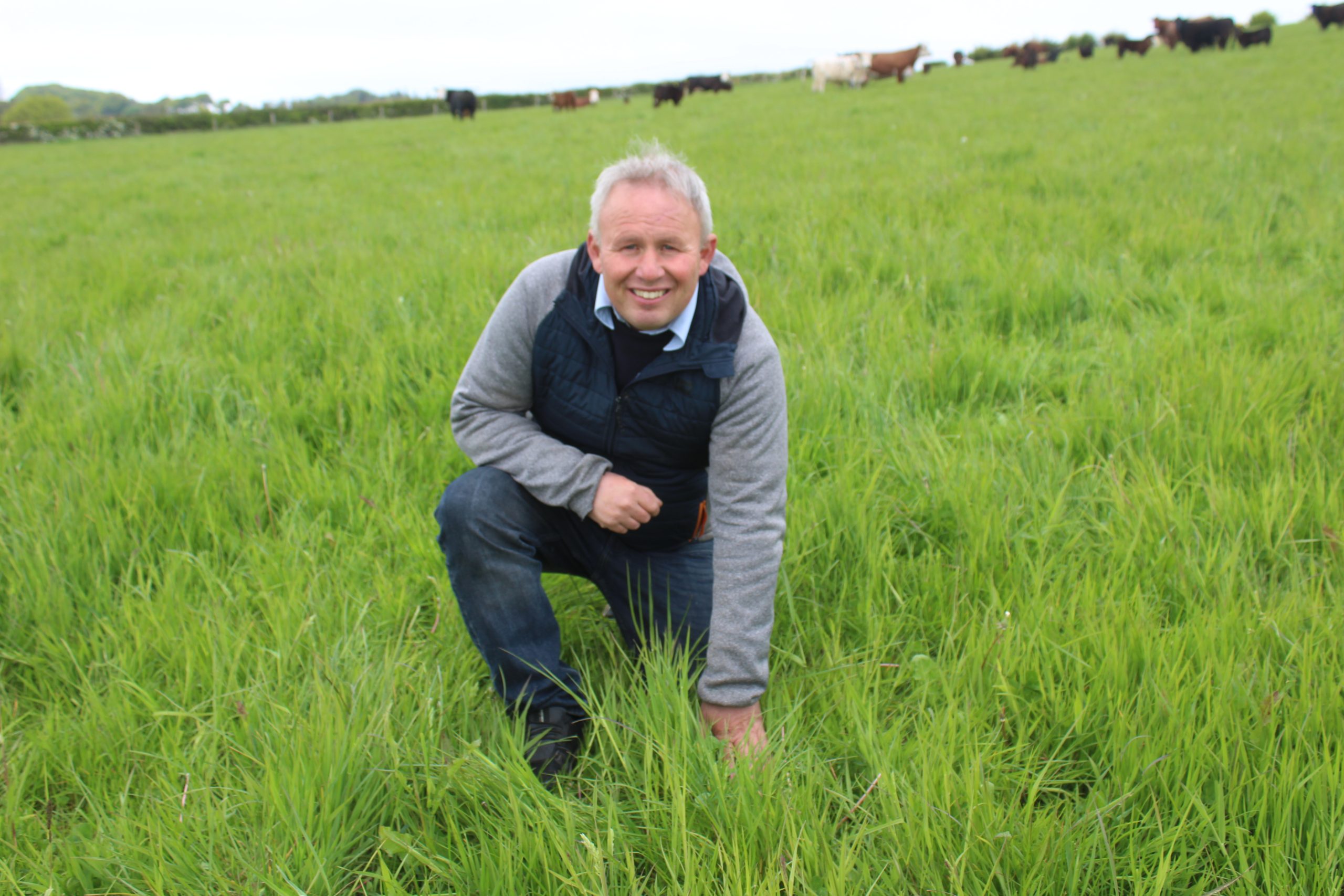 Organic beef and sheep production is ‘wholly sustainable’ – farmer