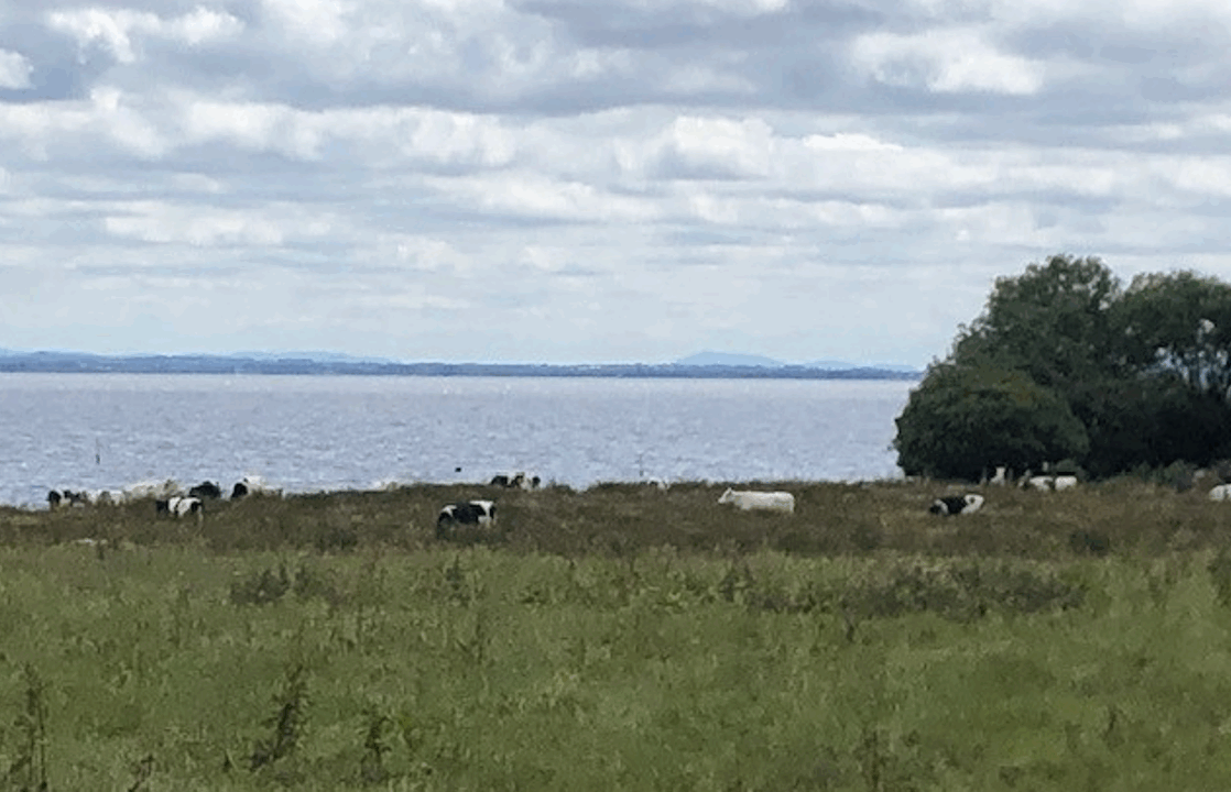 DAERA announces £380,000 in funding to improve water quality