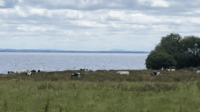 DAERA announces £380,000 in funding to improve water quality
