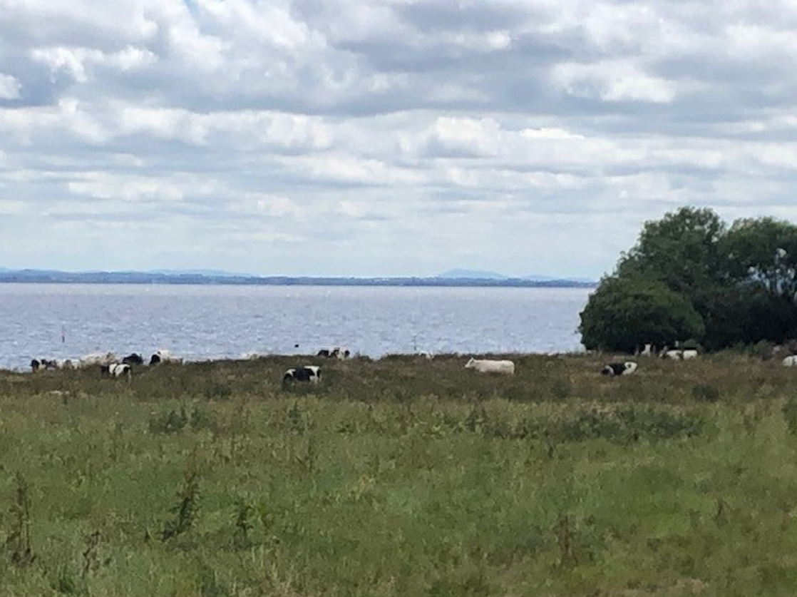 DAERA announces £380,000 in funding to improve water quality
