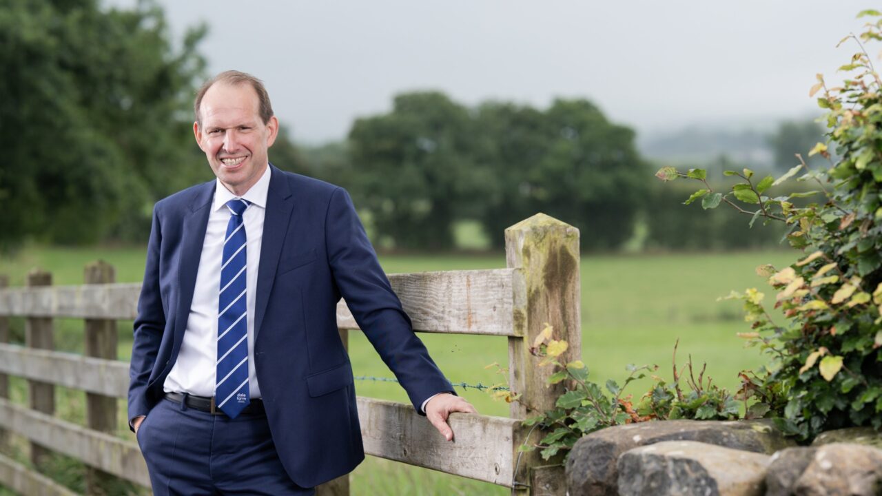 ‘Sustainable growth is a must’ for all dairy stakeholders – Dale Farm CEO