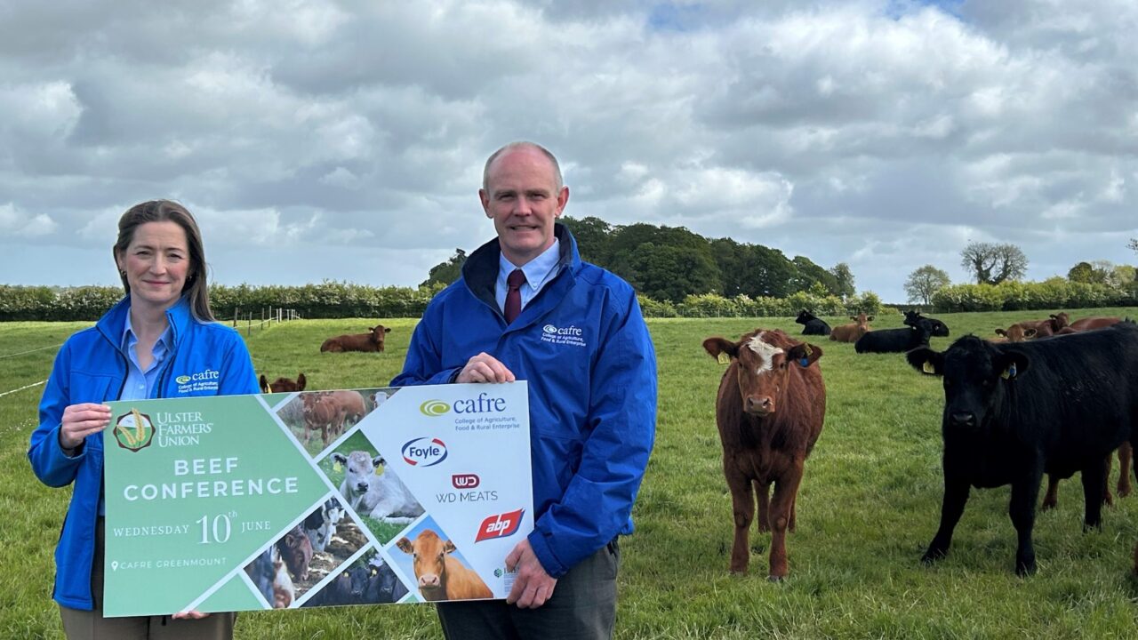 CAFRE and UFU to host beef conference and farm visit