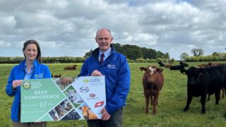 CAFRE and UFU to host beef conference and farm visit