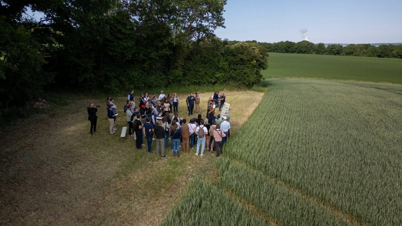 Diageo backs global framework to ‘scale regenerative agriculture’