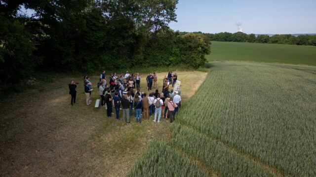 Diageo backs global framework to ‘scale regenerative agriculture’