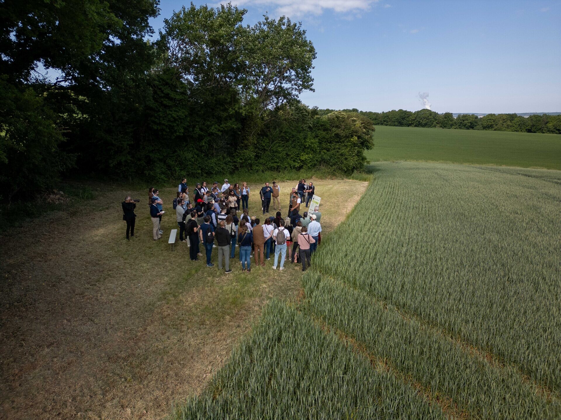 Diageo backs global framework to ‘scale regenerative agriculture’