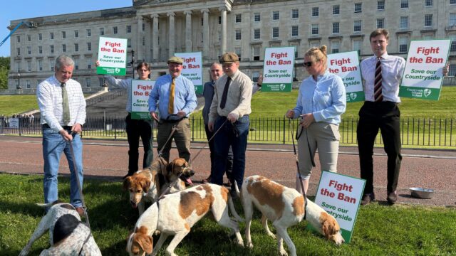 Fears dog owners could be prosecuted under NI trail hunt ban