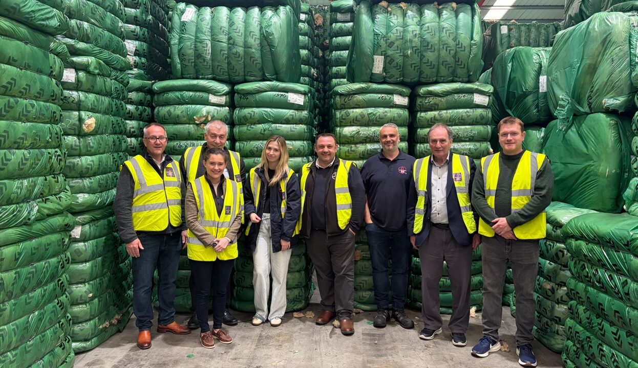 UFU urges farmers to maximise strong wool market