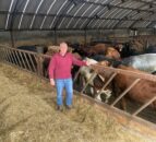 Beef processors ‘moved too far and too fast in cutting prices’ – UFU