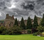 Falkland Estate slaughters 271 'untraceable cattle' after investigation