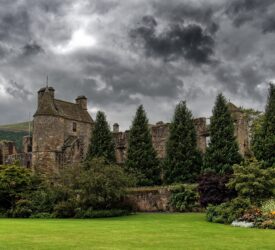 Falkland Estate slaughters 271 ‘untraceable cattle’ after investigation