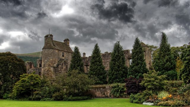 Falkland Estate slaughters 271 'untraceable cattle' after investigation