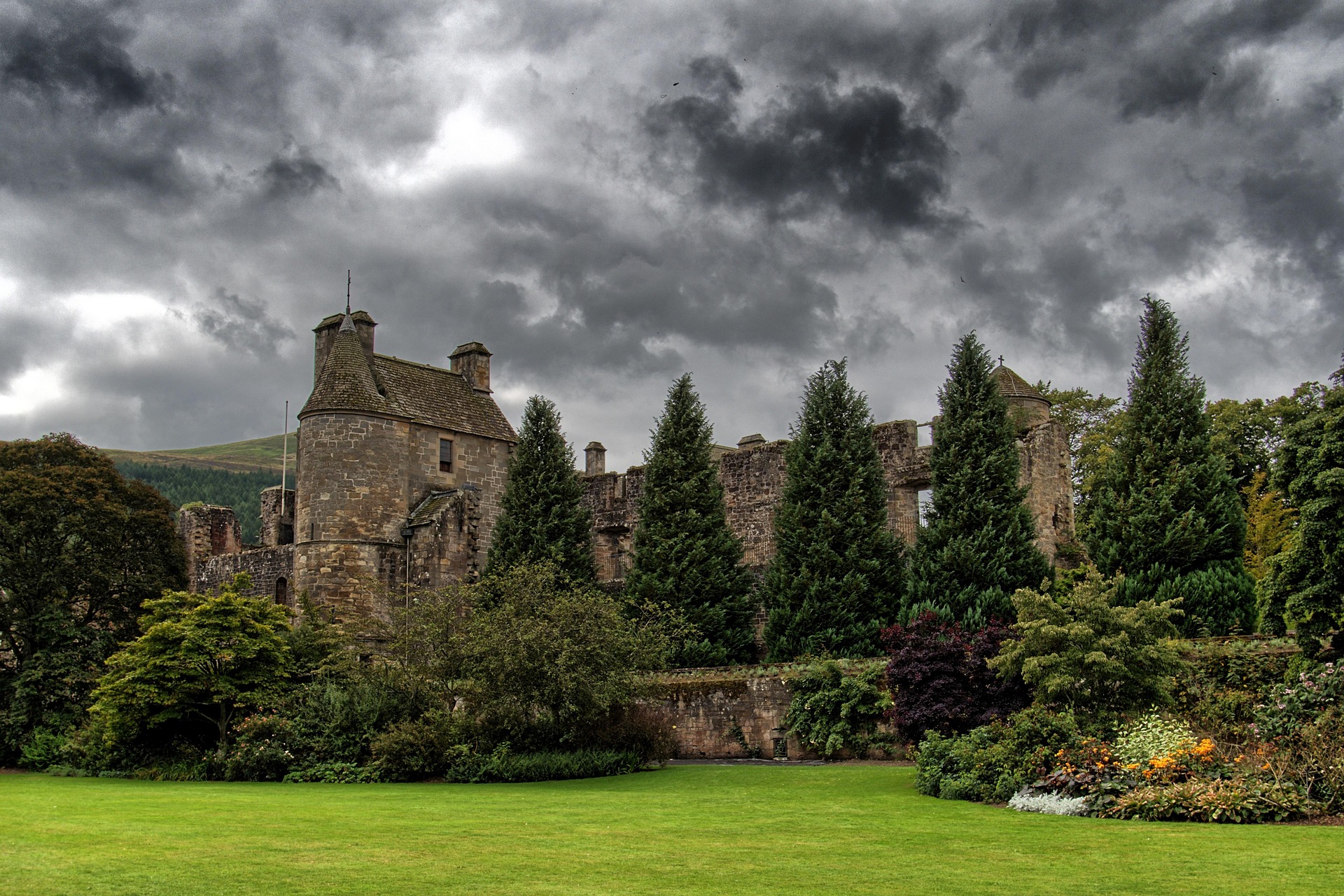 Falkland Estate slaughters 271 'untraceable cattle' after investigation
