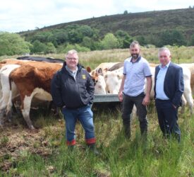 Rising cost of NI Farm Sustainability Payment entitlements criticised