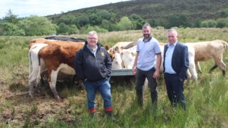 Rising cost of NI Farm Sustainability Payment entitlements criticised