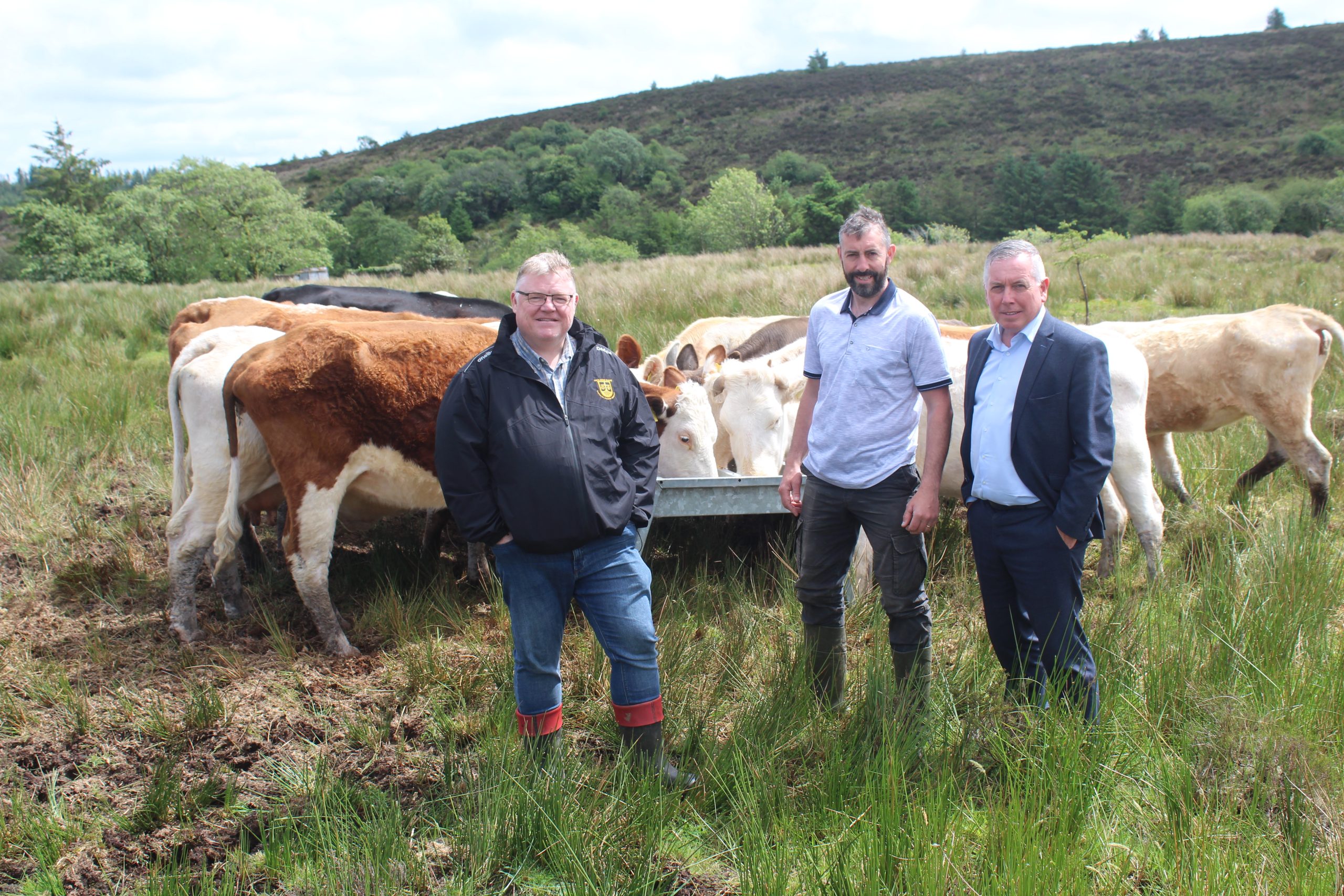 agriland.co.uk - Richard Halleron - Rising cost of NI Farm Sustainability Payment entitlements criticised