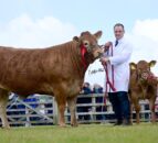 Crawford Brothers takes Ballymena inter-breed beef championship