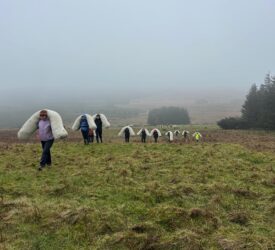 UFU and Ulster Wildlife trial use of wool in peatland restoration