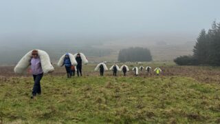 UFU and Ulster Wildlife trial use of wool in peatland restoration