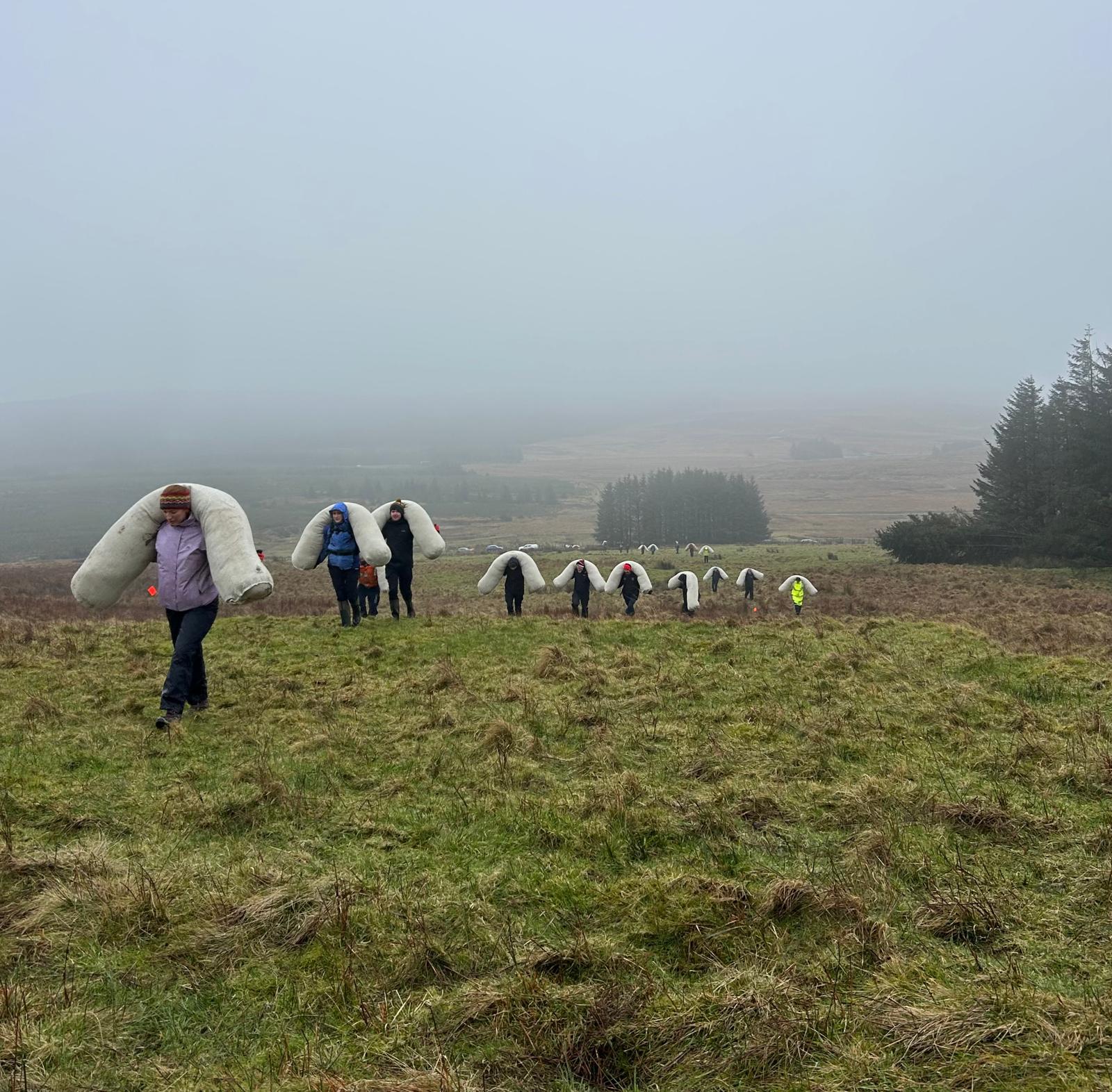 UFU and Ulster Wildlife trial use of wool in peatland restoration